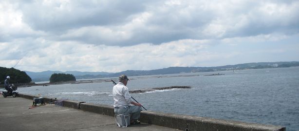 イカ釣りの光景