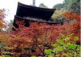 湊川:バス旅行01