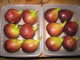 いちじくー北神支部3