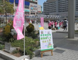 垂水　花まつりキャンペーン