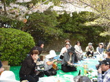 明石東支部　花見３