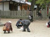 伊丹支部　　　～～世界平和祈りの週間～～4
