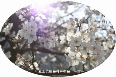 青年部_福知山お城祭り_01