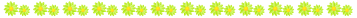 花 黄緑ライン