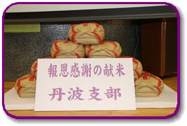 丹波献米