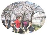 須磨支部　桜の下の家族