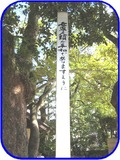 長田神社