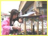 花祭り　りおちゃん　　　須磨　